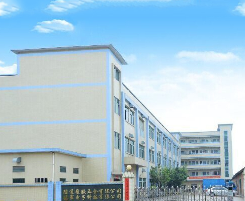 Dongguan Dehuan Electronic Technology Co., Ltd.