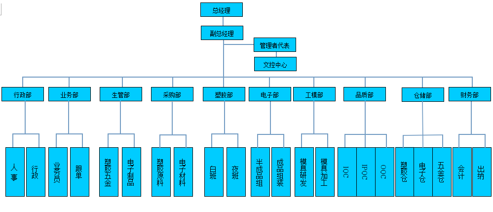 Organizational Structure