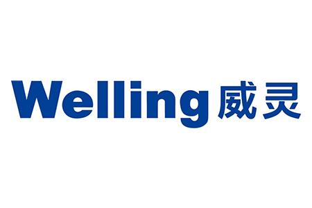 Welling Holding