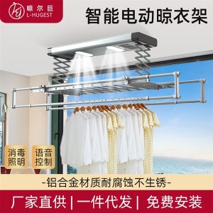 Smart Electric Clothes Rack DHLYG00201 Silver