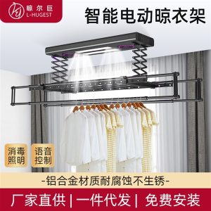 Smart Electric Clothes Rack DHLYG01301 Black